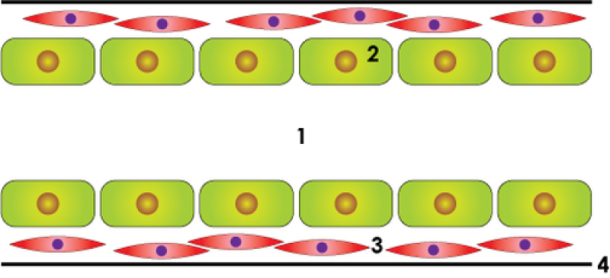 pa-lg-schematic-milk