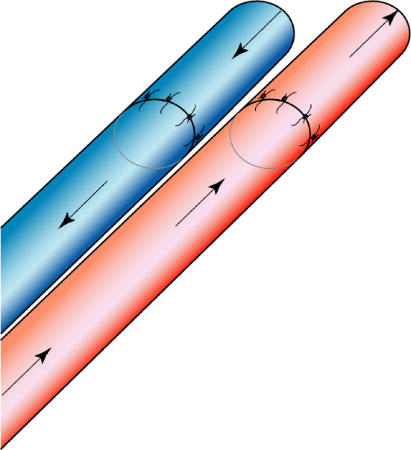 complications flaps fig3b